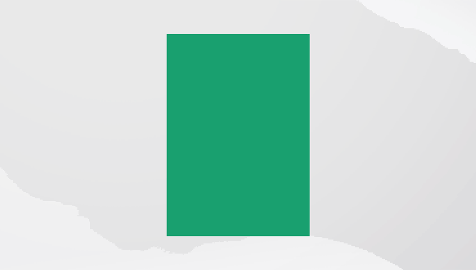 HNM_System_2