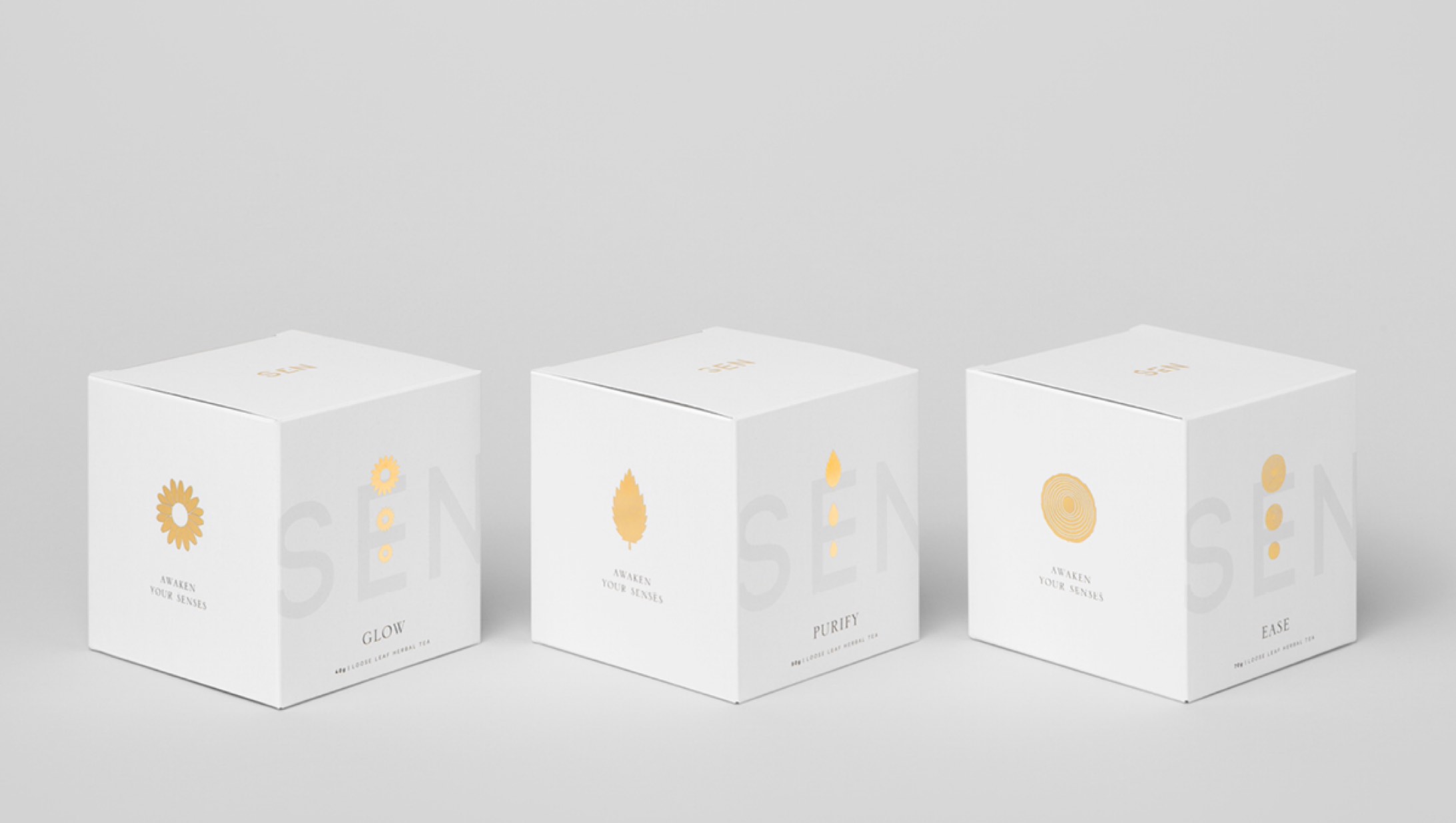 SEN_Boxes2