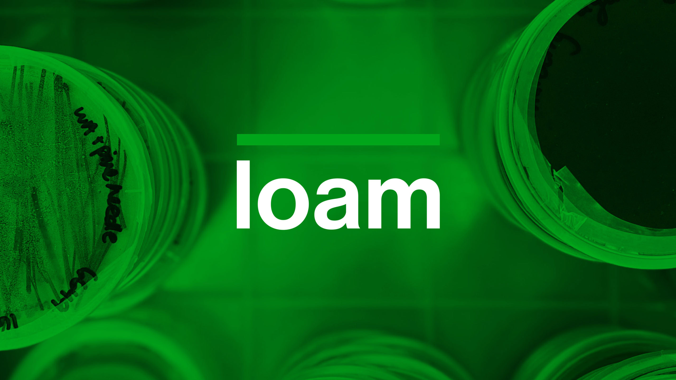 LOAM-Cover-02
