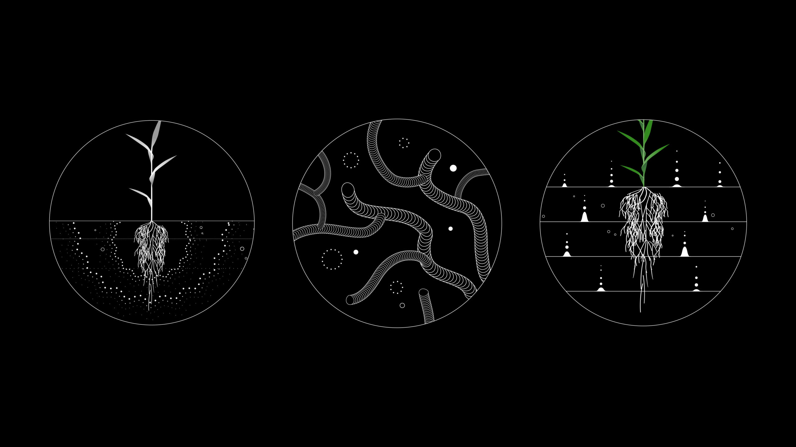 LOAM-Graphics