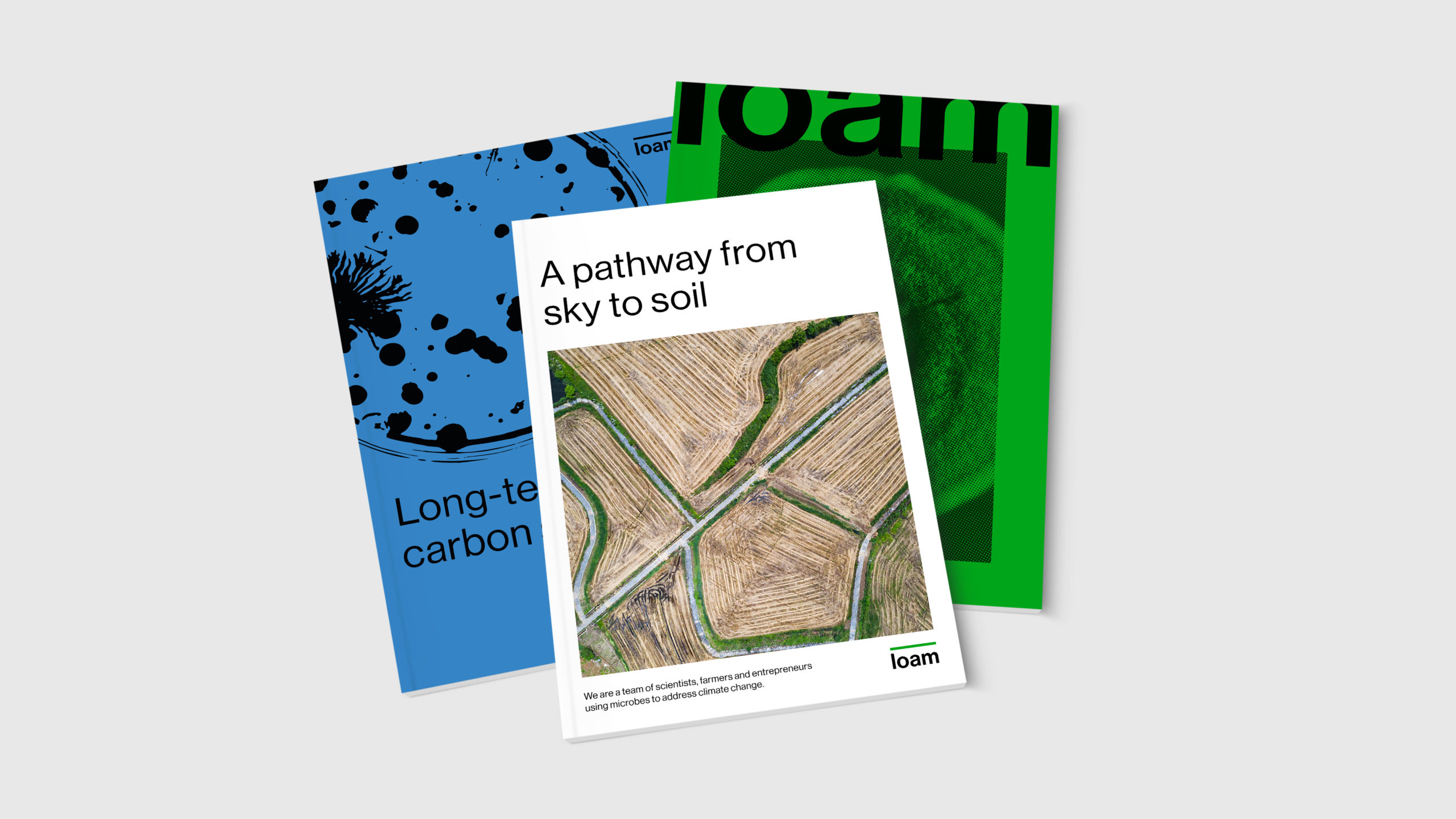 LOAM-Report-01